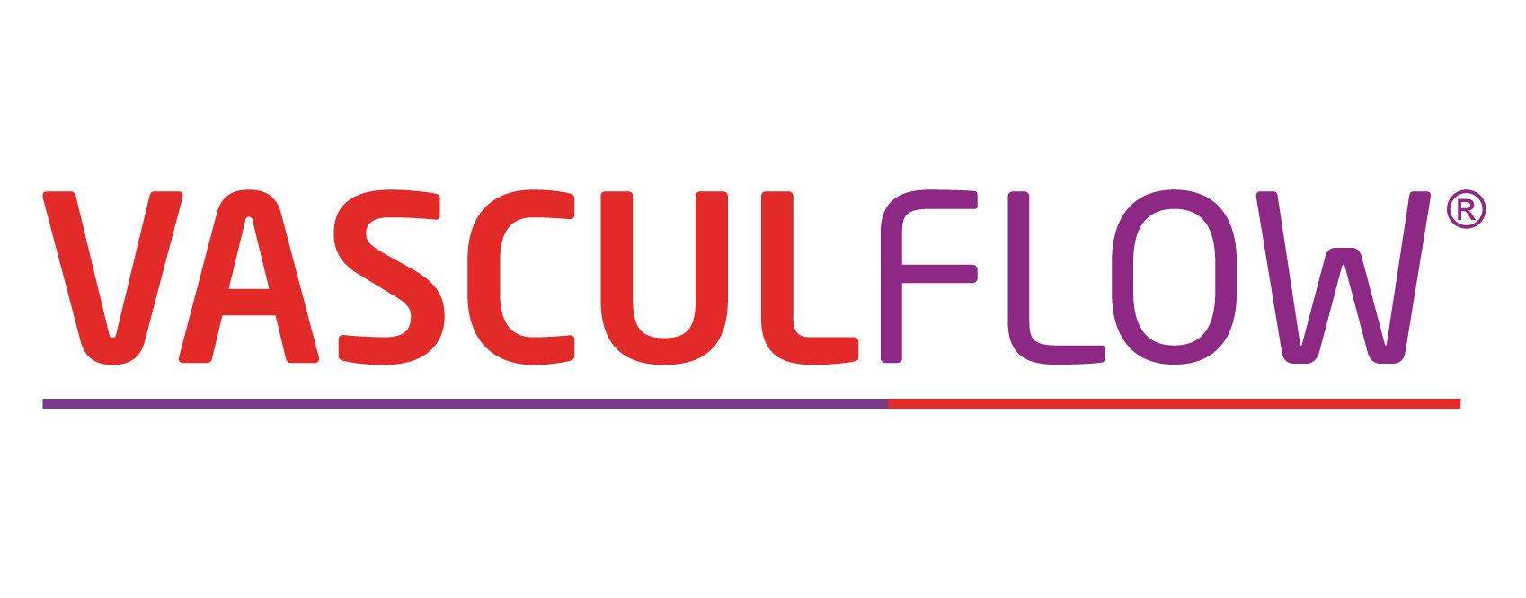 Vasculflow_logo (1).png